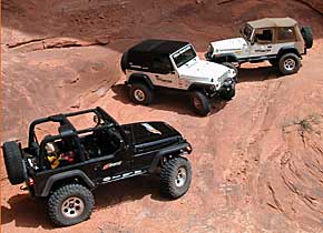 What do you drive ?